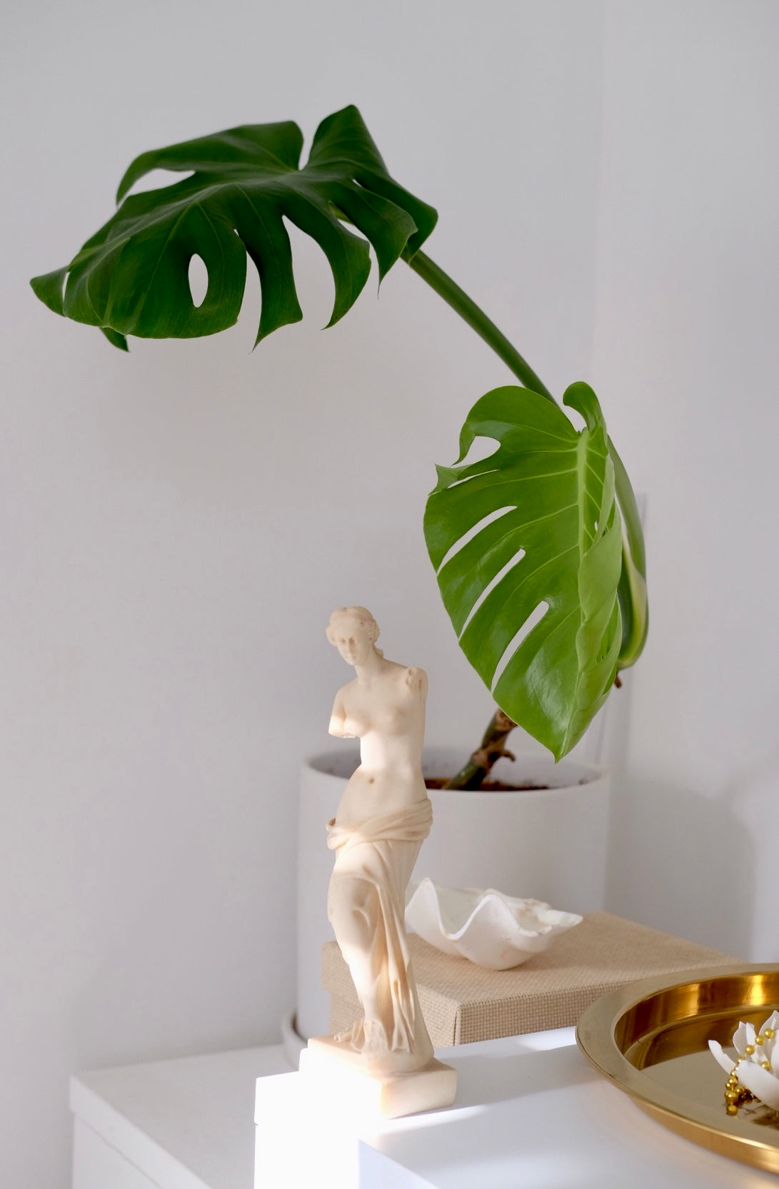 פסל אפרודיטה מקנידוס עשוי משיש יצוק באיכות גבוהה, פסל אפרודיטה זה מסמל אהבה, ולכן הוא נקרא אלת האהבה, זה יכול לשמש כמתנה לימי הולדת של אישה, חגים וימי נישואין, פסל אפרודיטה הוא פריט מהמם דקורטיבי לעיצוב חדר שינה, סלון או אמבטיה, פסלי דמויות מיתולוגיות, פיסול יווני, ,כלי קריסטל עתיקים,מראות עתיקות,חנוכיות עתיקות,כדים עתיקים למכירה,צלחות עתיקות,פריטי אספנות,אספני יודאיקה,אספנות ענתיקות,חנויות אספנות,פרטי אספנות,פריטי אספנות למכירה