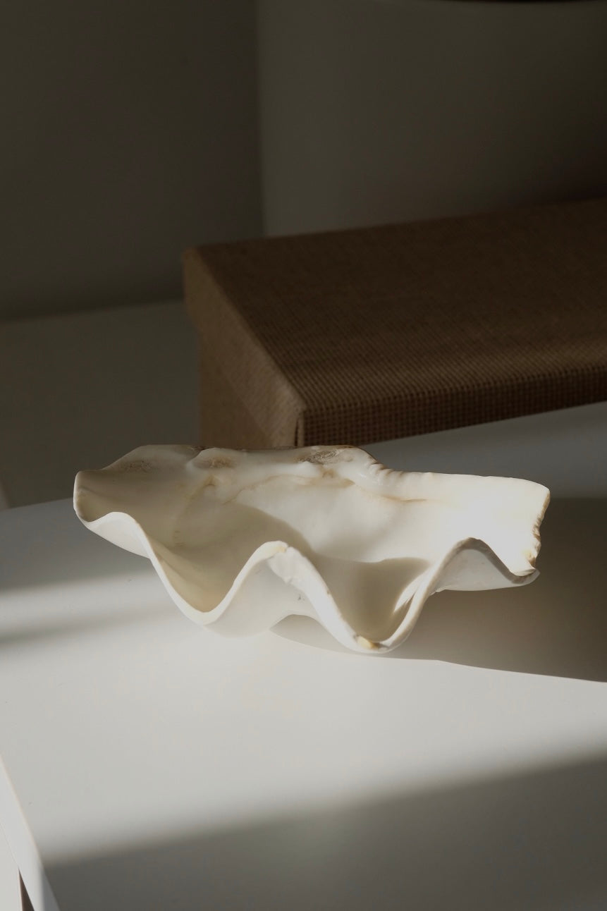 קערת צדף טבעי לעיצוב דקורטיבית של בית ותכשיטים, קערה דקורטיבית מצדפה אמיתית מהממת לעיצוב בית וחדר אמבטיה, כלי צדף ניתן להשתמש כסבוניה, כמגש לתכשיטים, ניתן להשתמש ככלי אחסון לתכשיטים, בסיס לנרות, כד לעציצים, כחלק מדקור לסלון, עיצוב לחדר שינה או אמבטיה