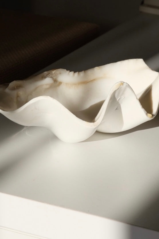 קערת צדף טבעי לעיצוב דקורטיבית של בית ותכשיטים, קערה דקורטיבית מצדפה אמיתית מהממת לעיצוב בית וחדר אמבטיה, כלי צדף ניתן להשתמש כסבוניה, כמגש לתכשיטים, ניתן להשתמש ככלי אחסון לתכשיטים, בסיס לנרות, כד לעציצים, כחלק מדקור לסלון, עיצוב לחדר שינה או אמבטיה